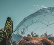 A place to escape to - why owning a Hypedome can boost your mental well-being?