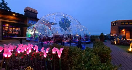 Dining_Domes_1600_2