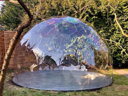 Empty garden dome surrounded by trees