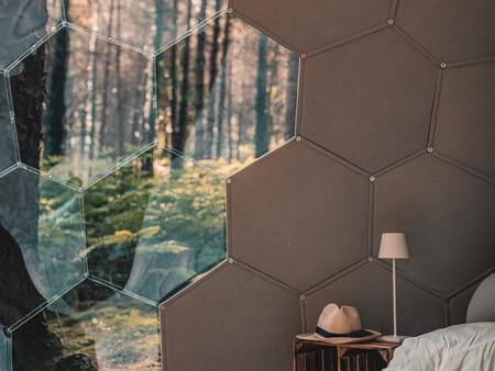 Glamping dome wall - hall transparent, half covered
