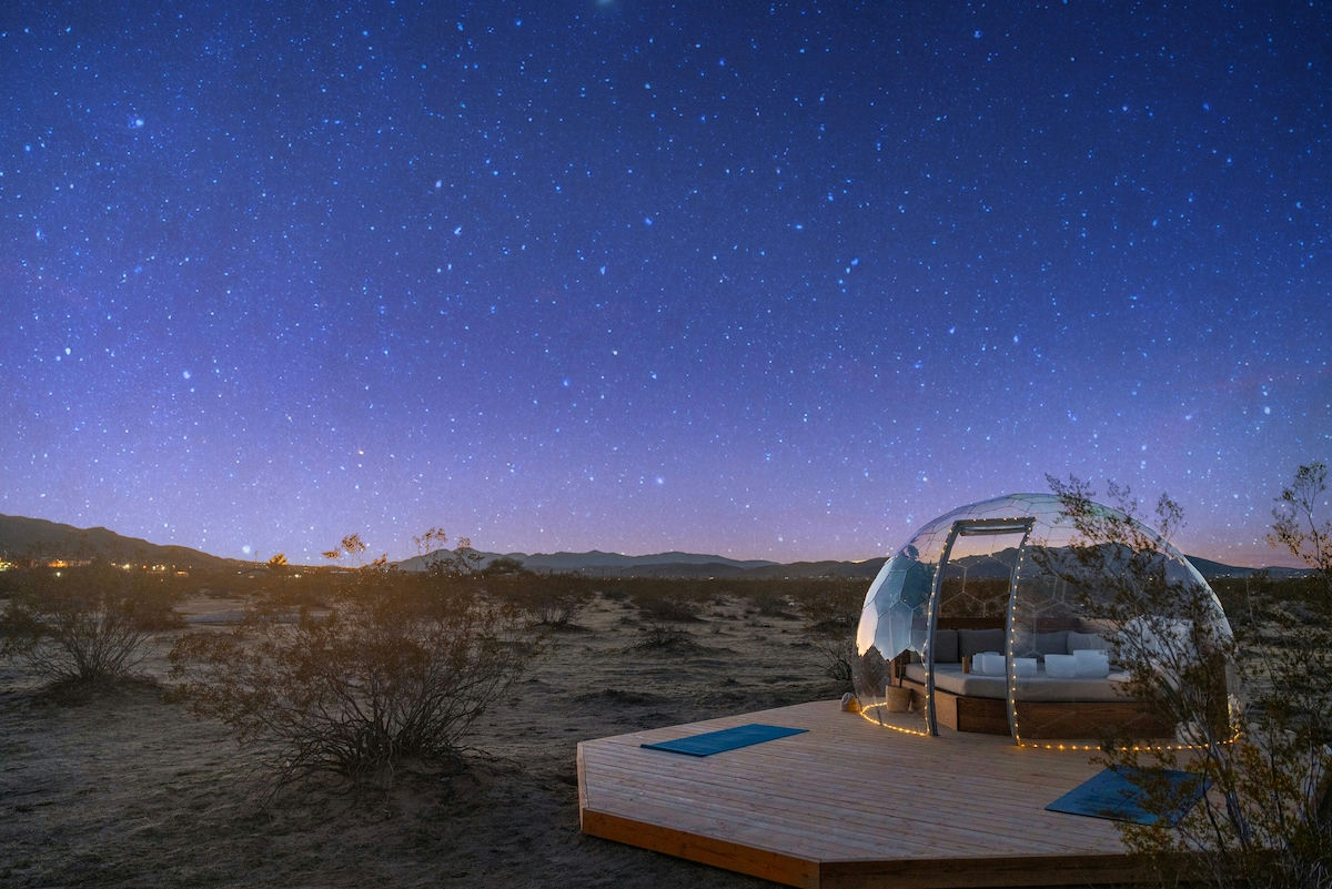 The Art of the Desert