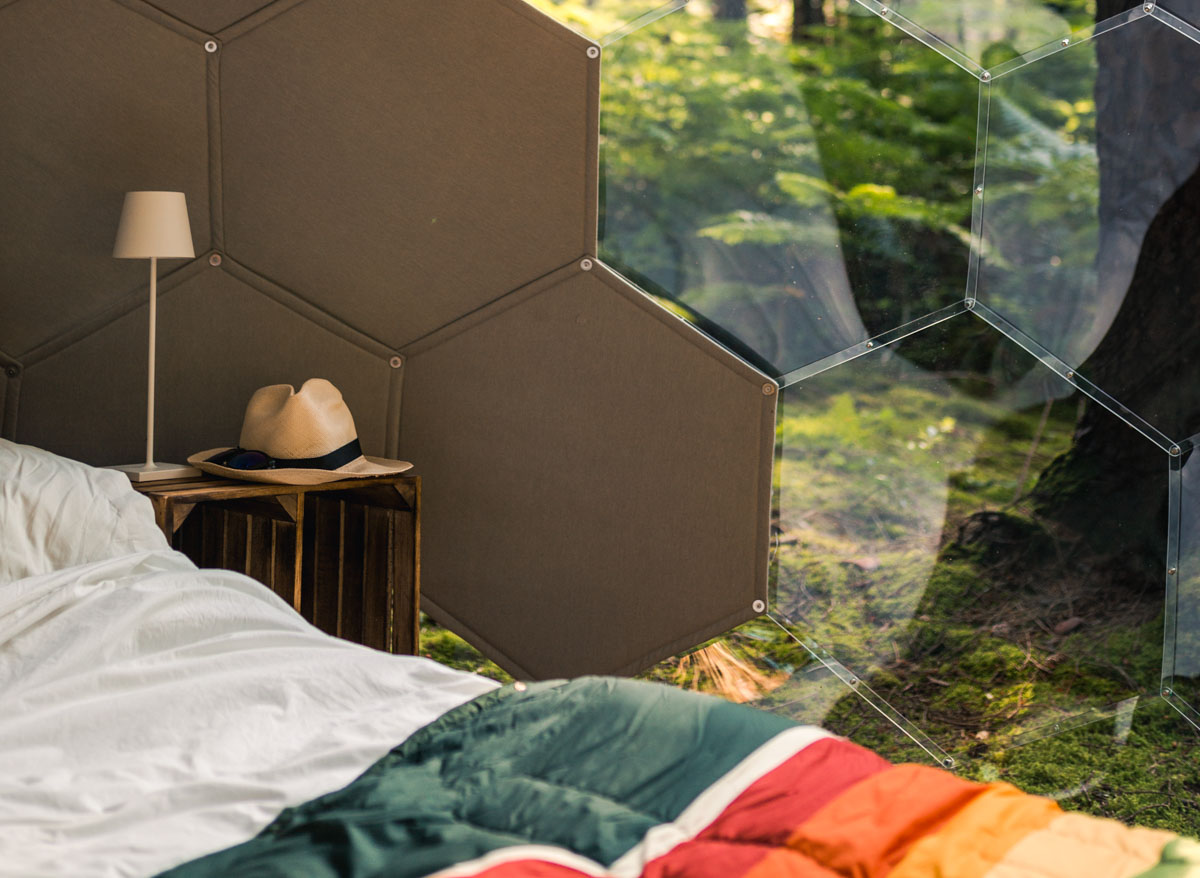 Forest Bathing Retreat