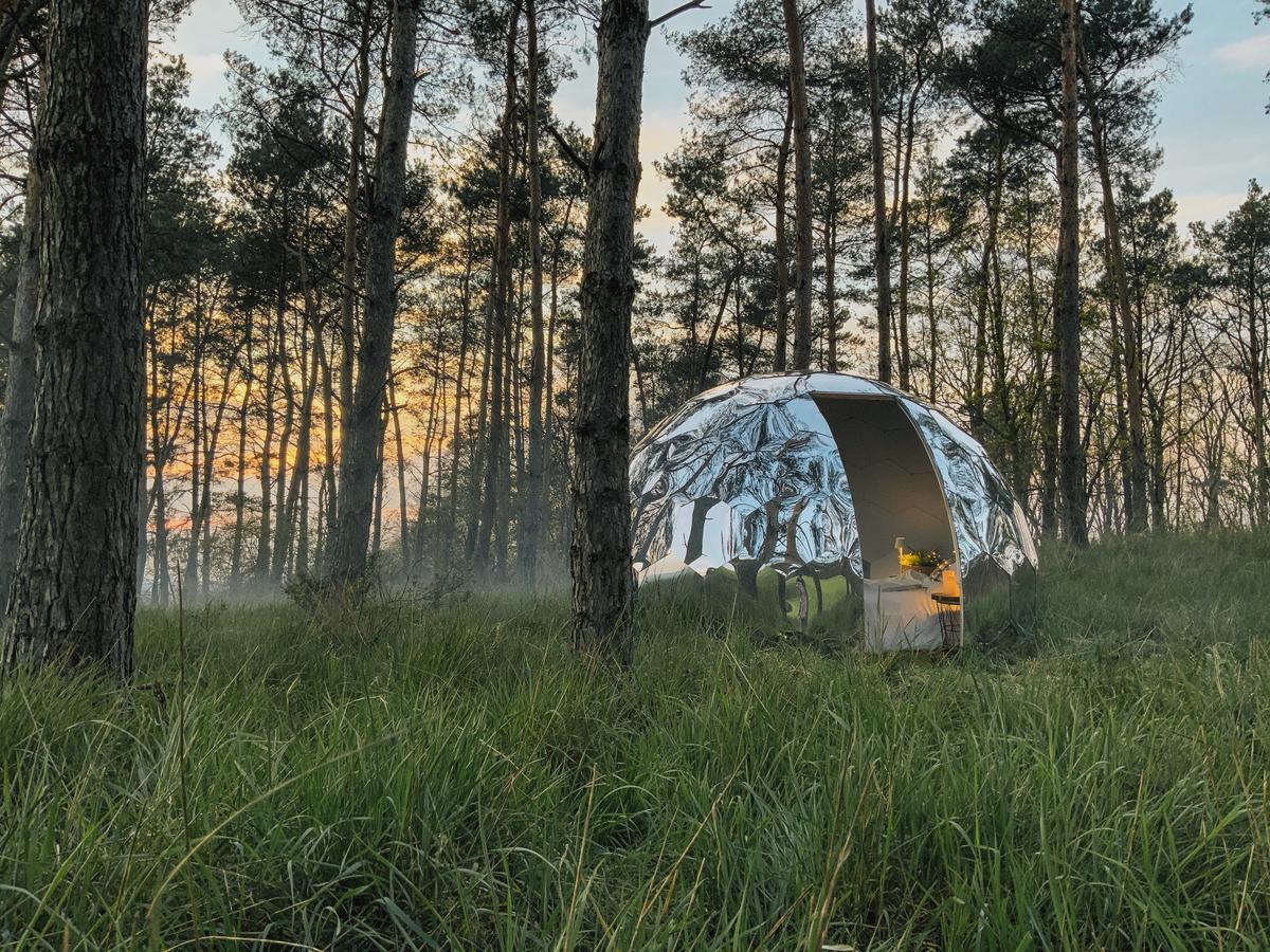 Mirror geodome in forest meadow at sunset glamping setting