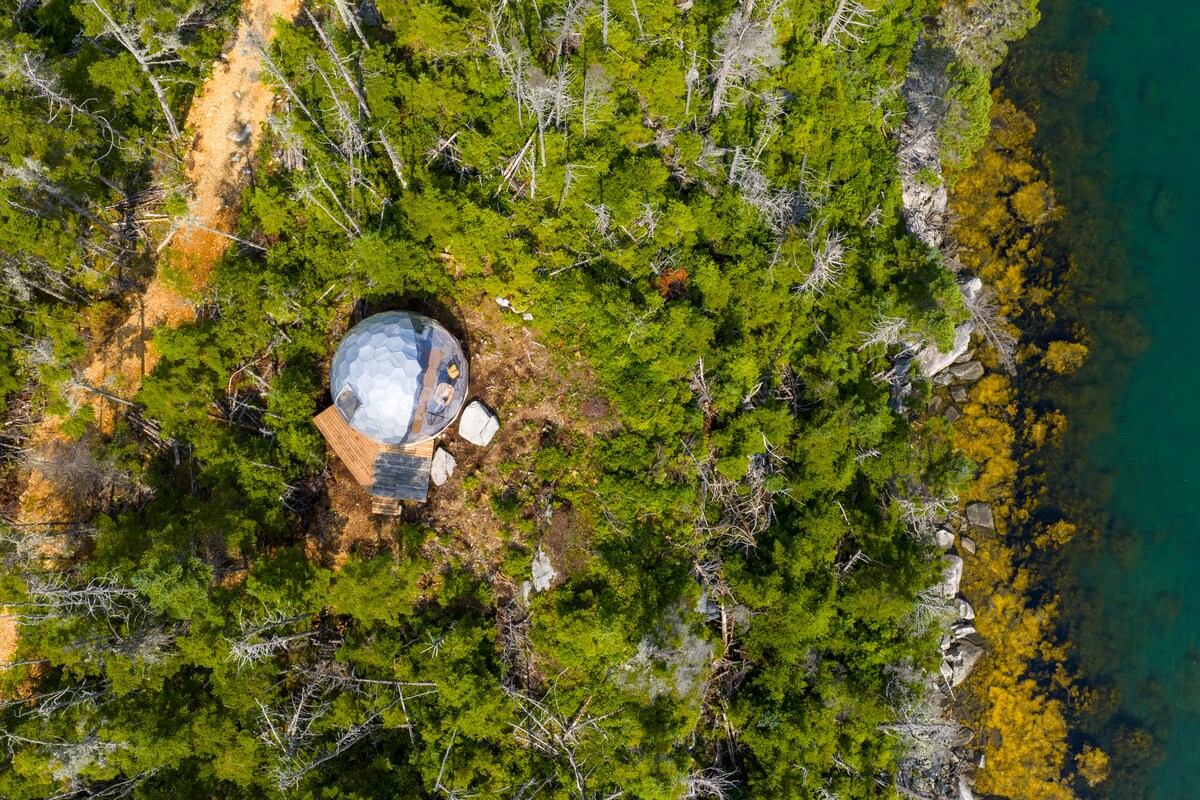 Aerial dome in forest