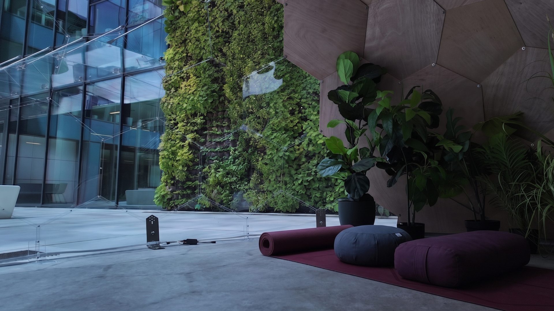 A Wellness Dome interior before sunrise, mat and cushions ready, green wall beyond the clear panels