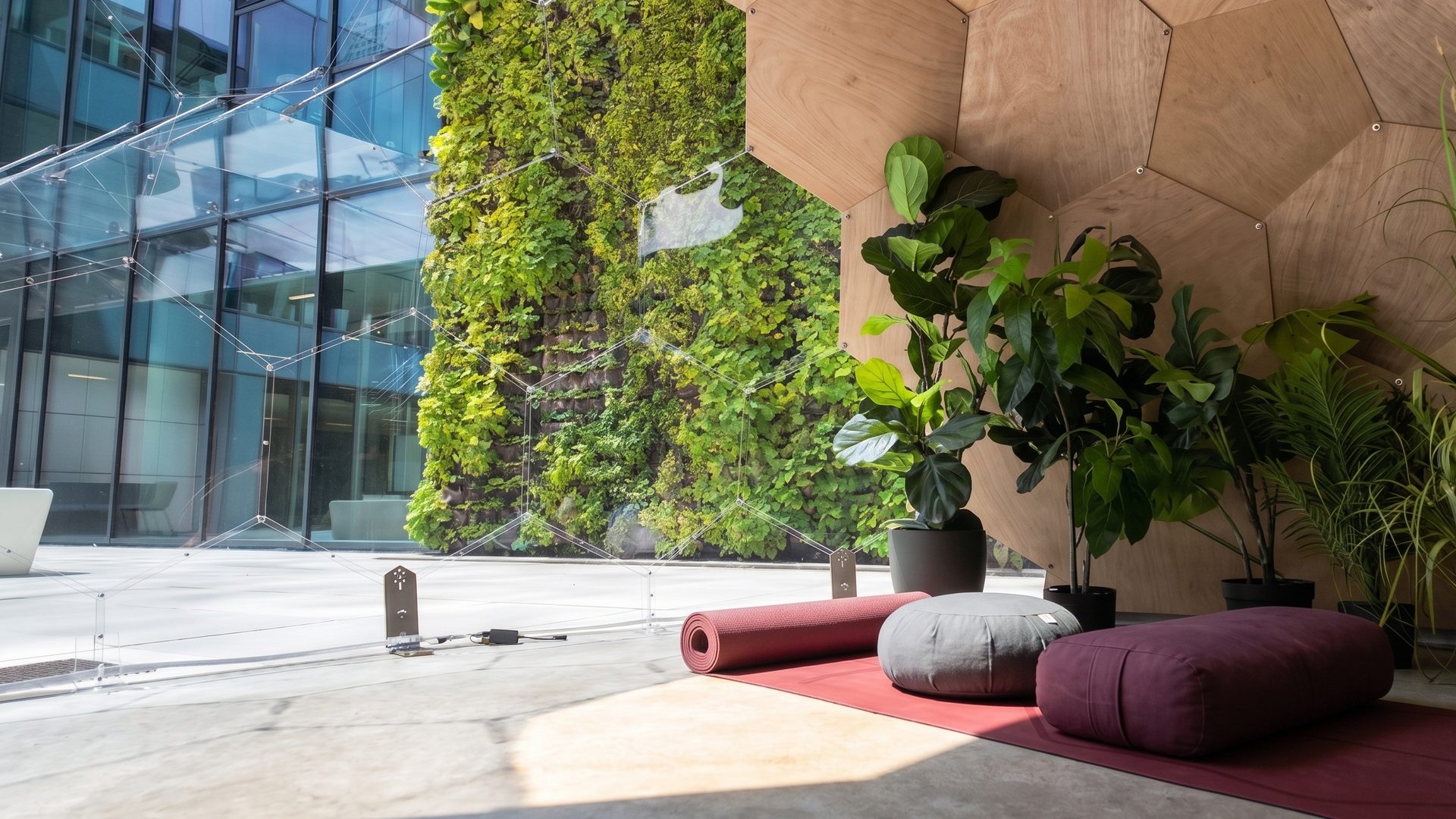 The same Wellness Dome interior at midday, bright daylight on the green wall