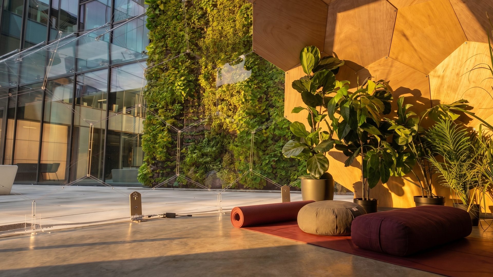 The same Wellness Dome interior in golden evening light, timber panels warm