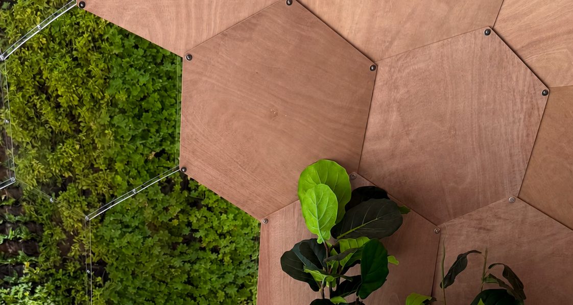 Close-up of the warm Okoume timber panels lining a Hypedome interior, with a green wall seen through a clear panel