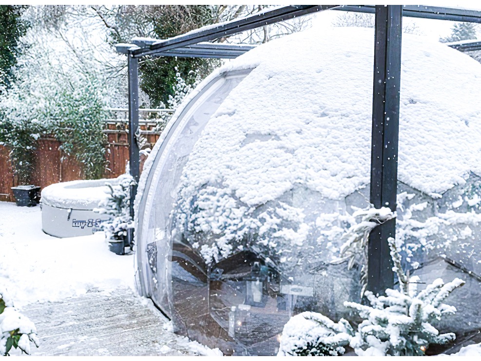 Baccello a bolla del giardino nella neve