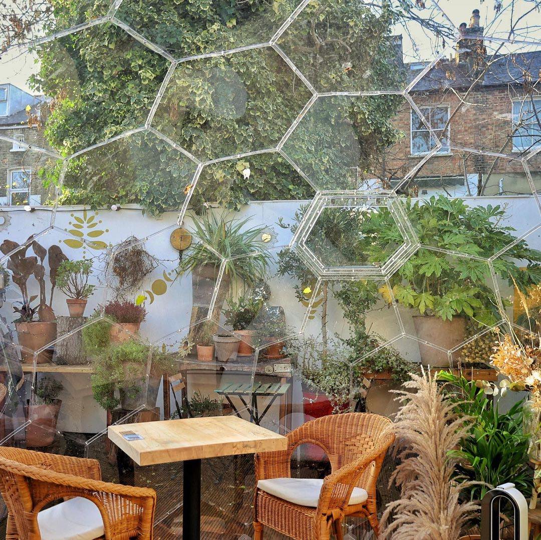 Magnifique intérieur d'un dôme de jardin