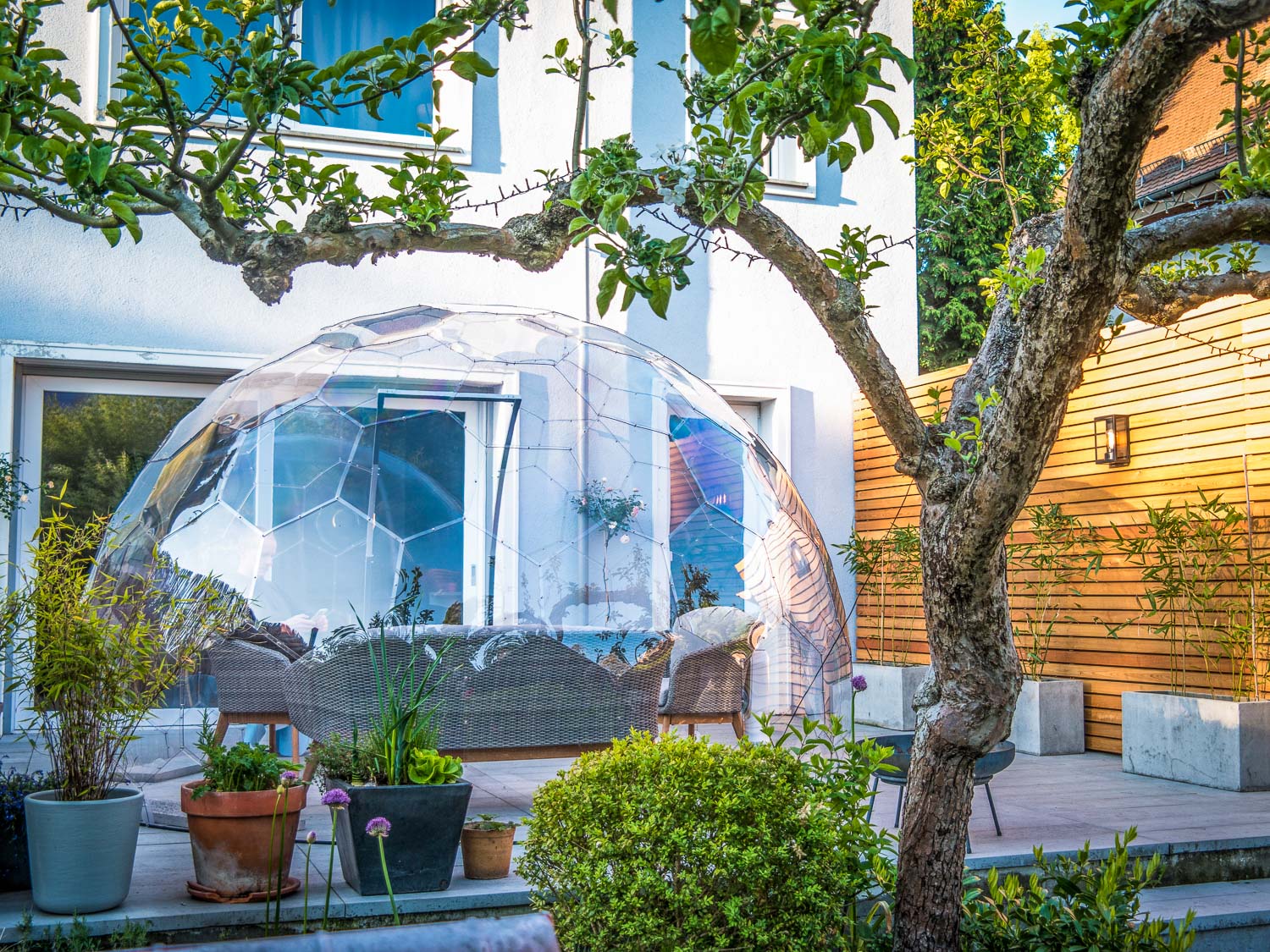 7 best garden igloos 2022: The transparent domes to transform your outdoor  space