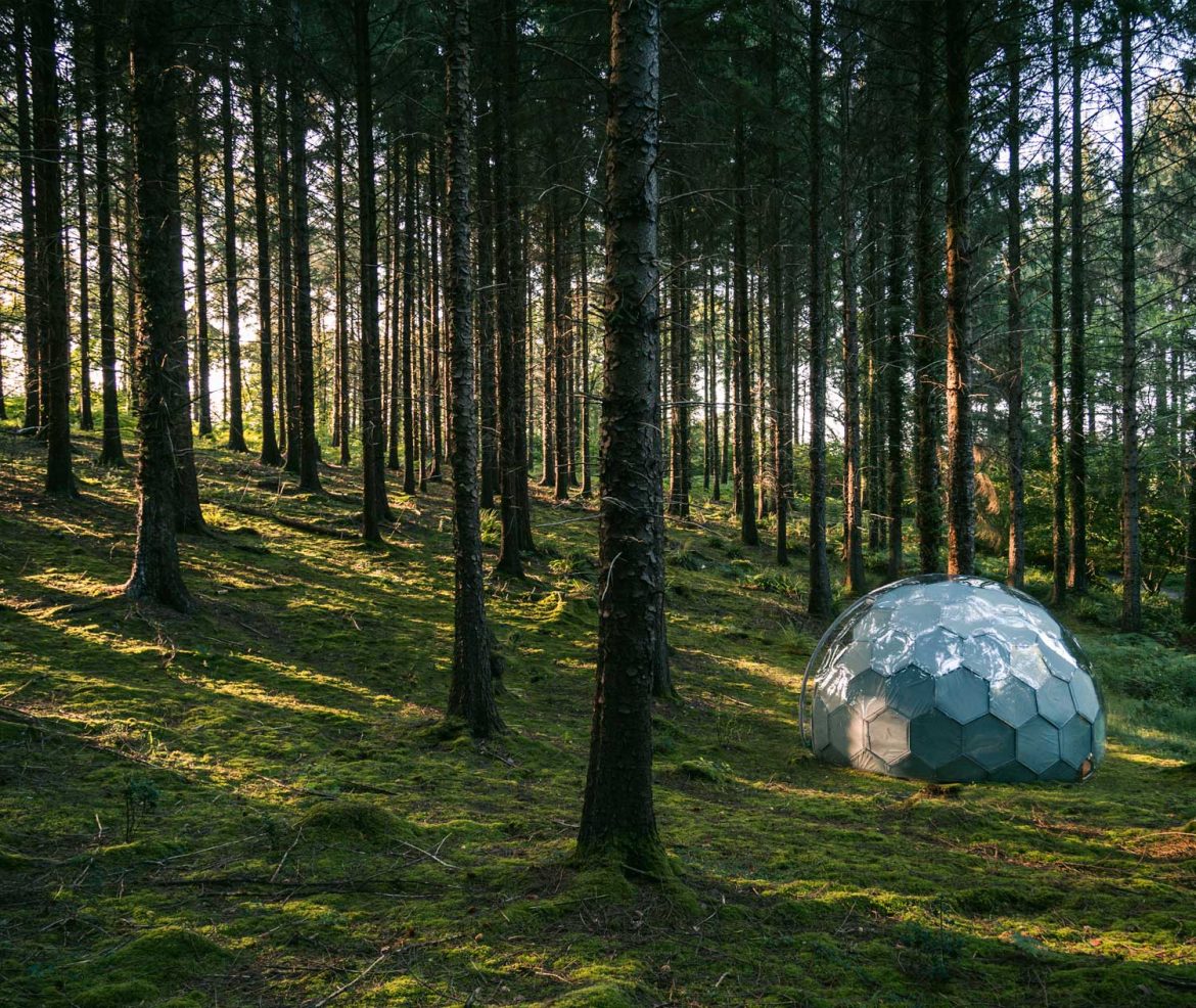 Glamping-Pod versteckt in den Wäldern