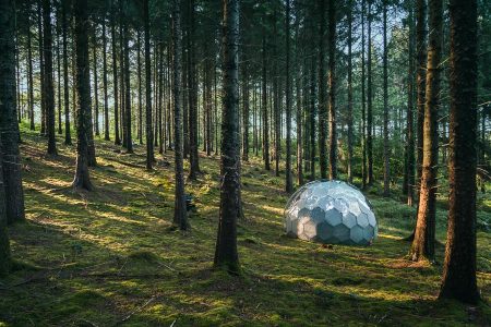 Hypedome pod in the woods