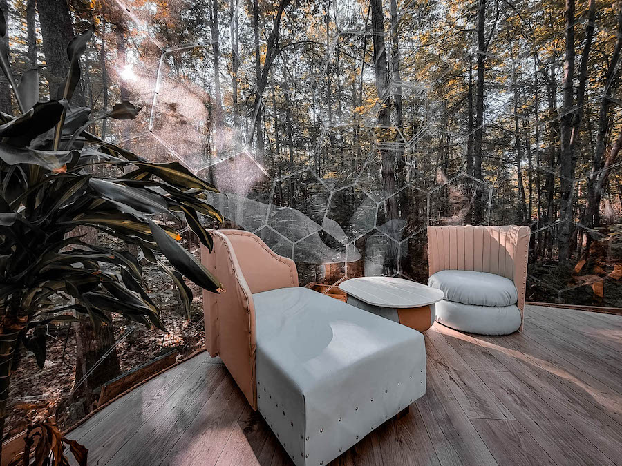 Glamping-Pod im Wald