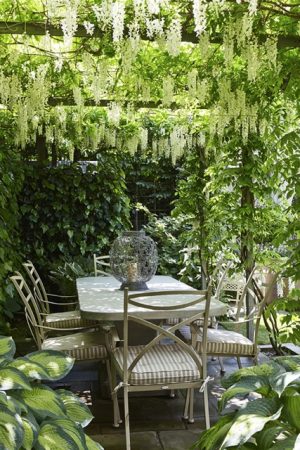 Outdoor table under the wisteria-clad covering