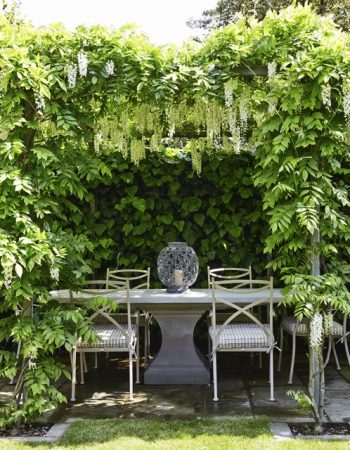 Outdoor table set and wisteria cover