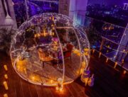 Hypedome M • Dining Bundle