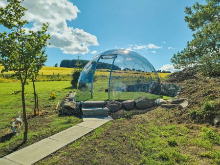 Clear garden dome in sunny place