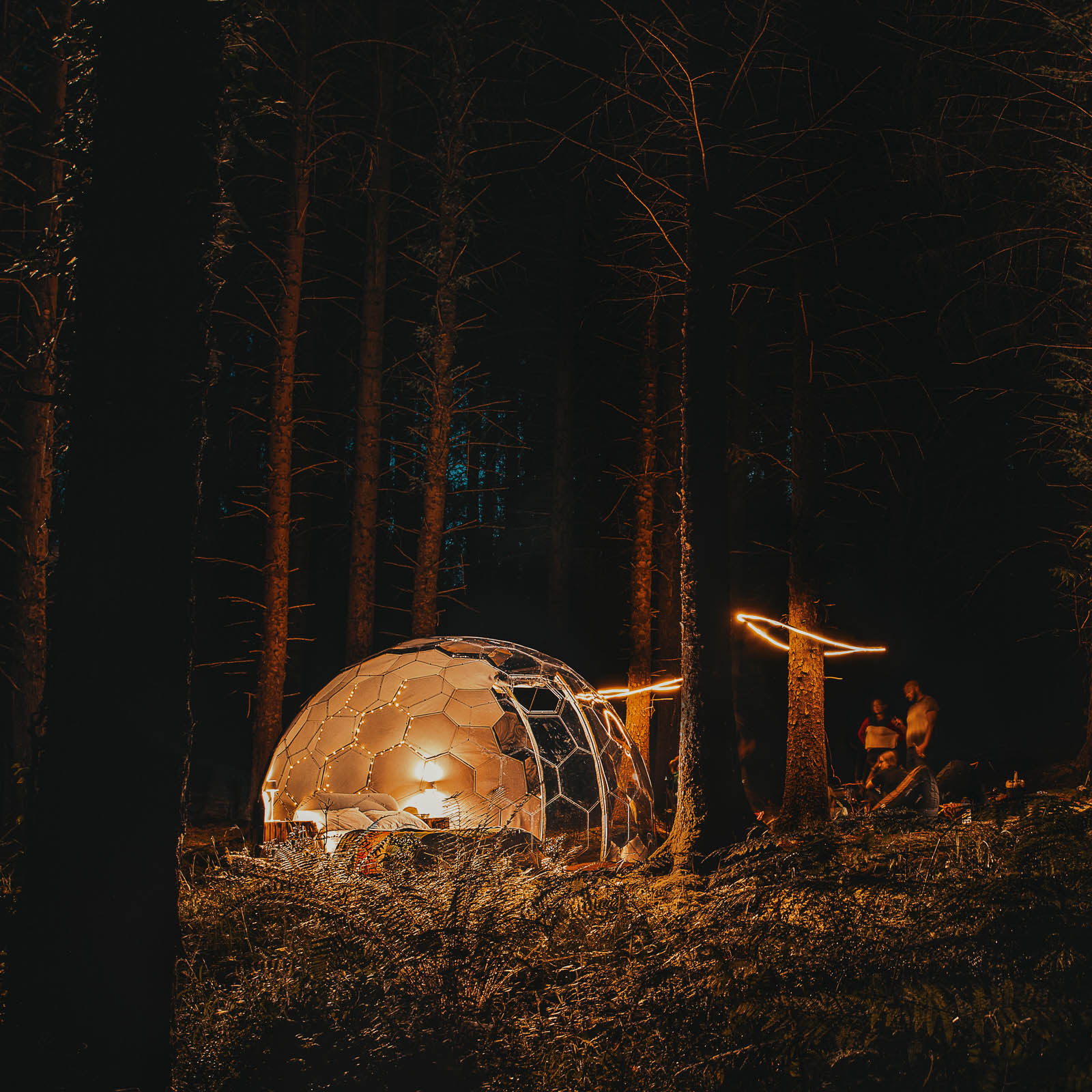 Glamping-Erlebnis in den Wäldern