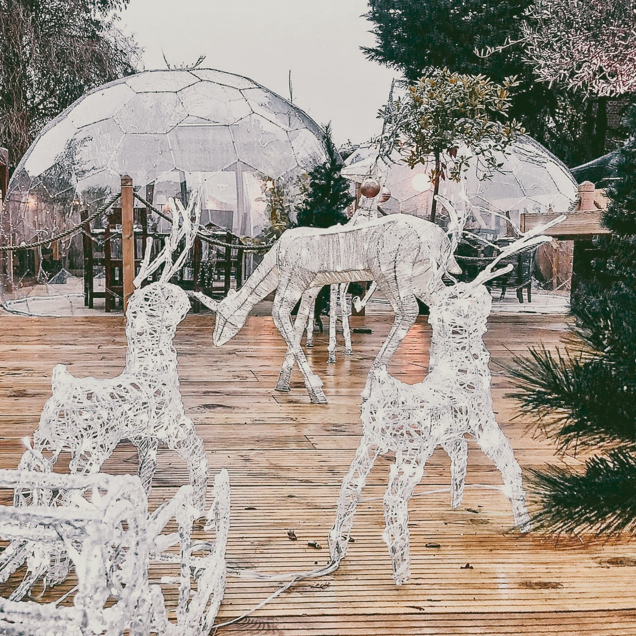 Décorations de Noël à l'extérieur de la salle à manger