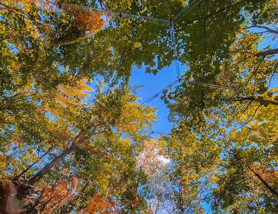 Vista a 360 gradi da una capsula da giardino
