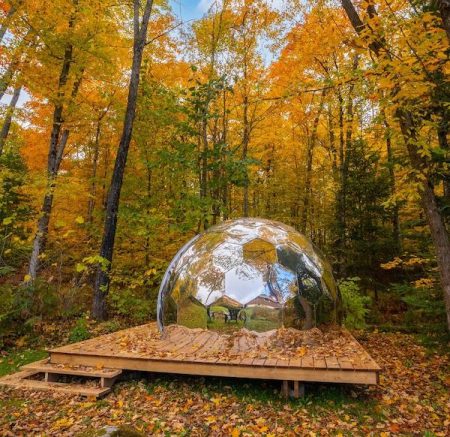 Dome placed in the woods