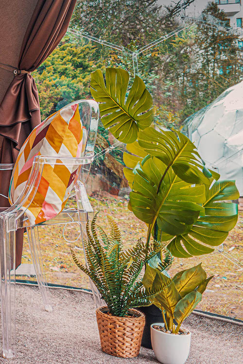 Eine mit Pflanzen dekorierte Glamping-Kuppel