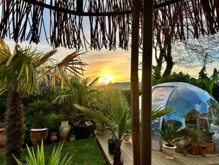 An eco dome surrounded by greenery in a beautiful garden