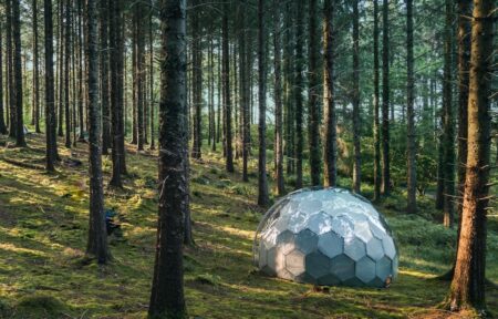 An eco glamping pod in the woods