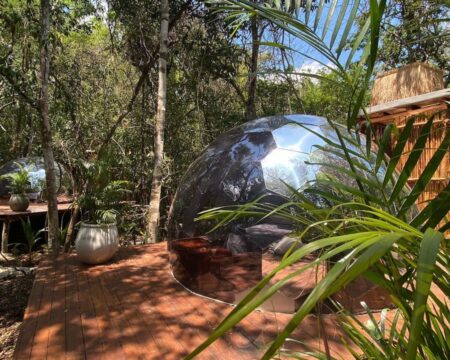 Glamping pod standing out from the greenery
