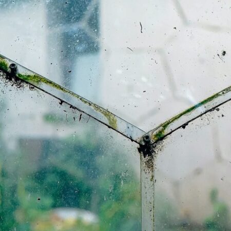 Dirt gathered between the garden dome's panels