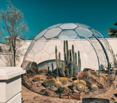 Dome greenhouse with cacti