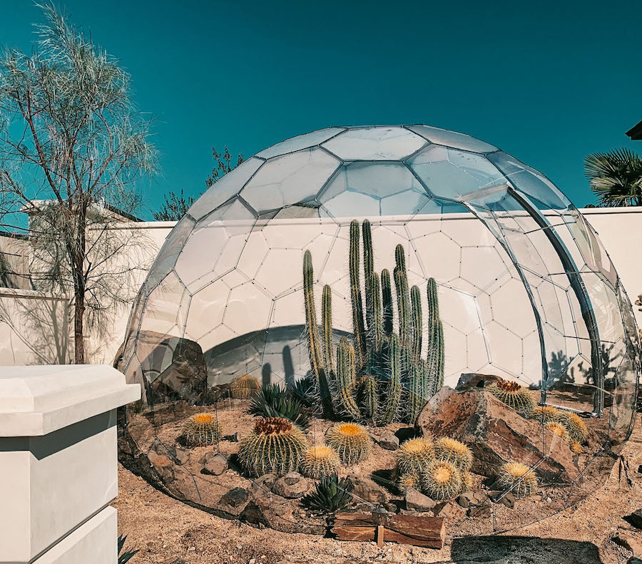 Serre dôme avec cactus