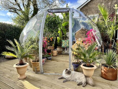 Greenhouse dome with tropical plants