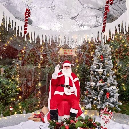 Santa and Christmas decorations