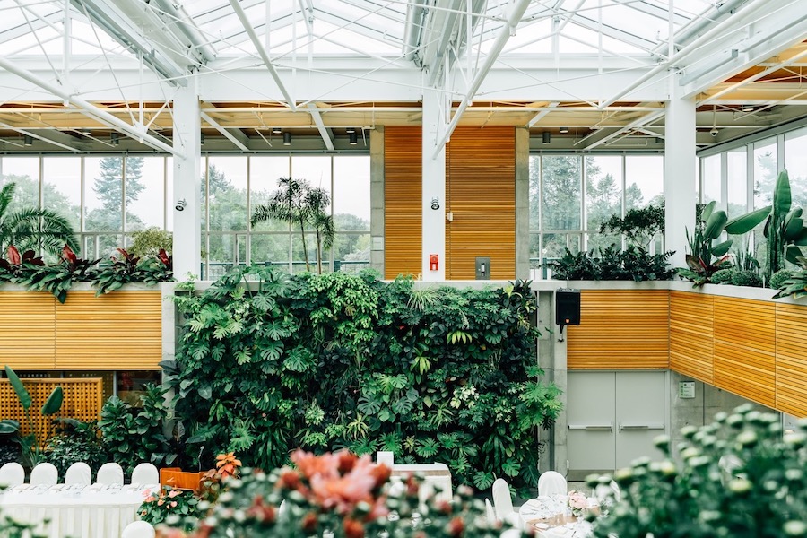 Un grand intérieur avec des murs verts et d'autres plantes pour le design biophilique