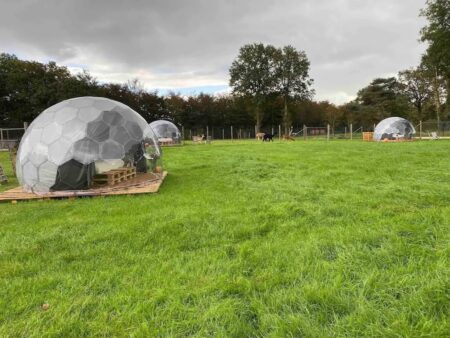 Setting up glamping pricing depends on location - here the glamping domes are surrounded by lush greenery