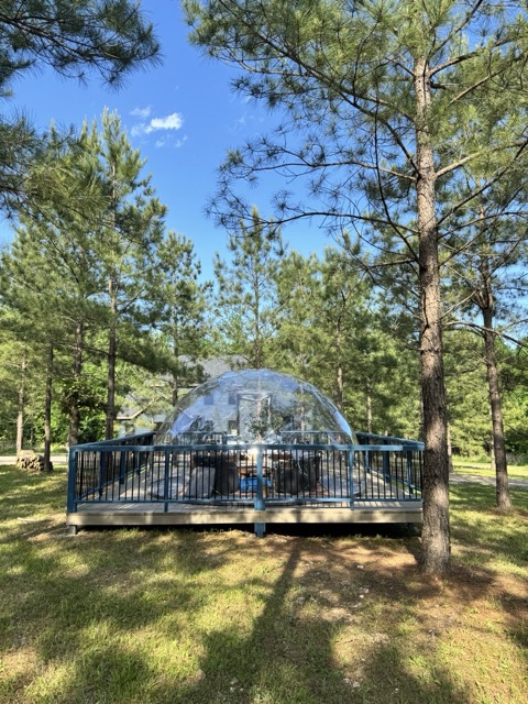 Hypedome Dôme Airbnb entouré d'arbres