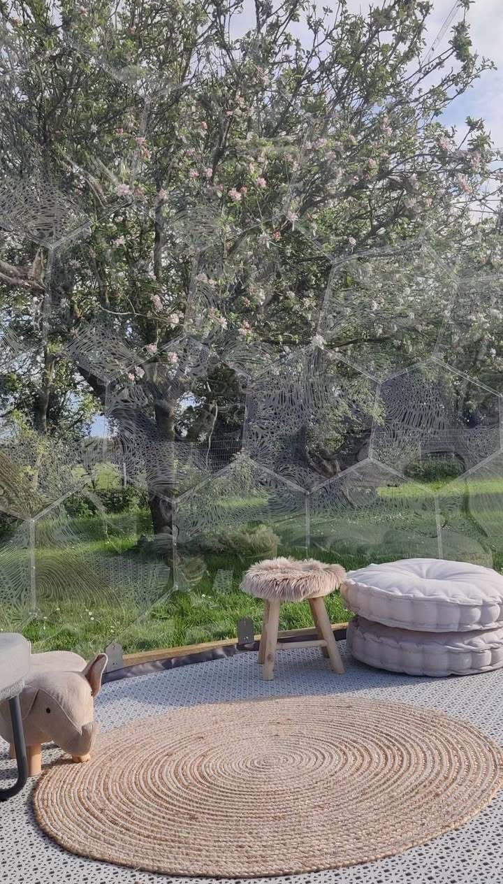 Furniture inside the garden dome in a windy orchard