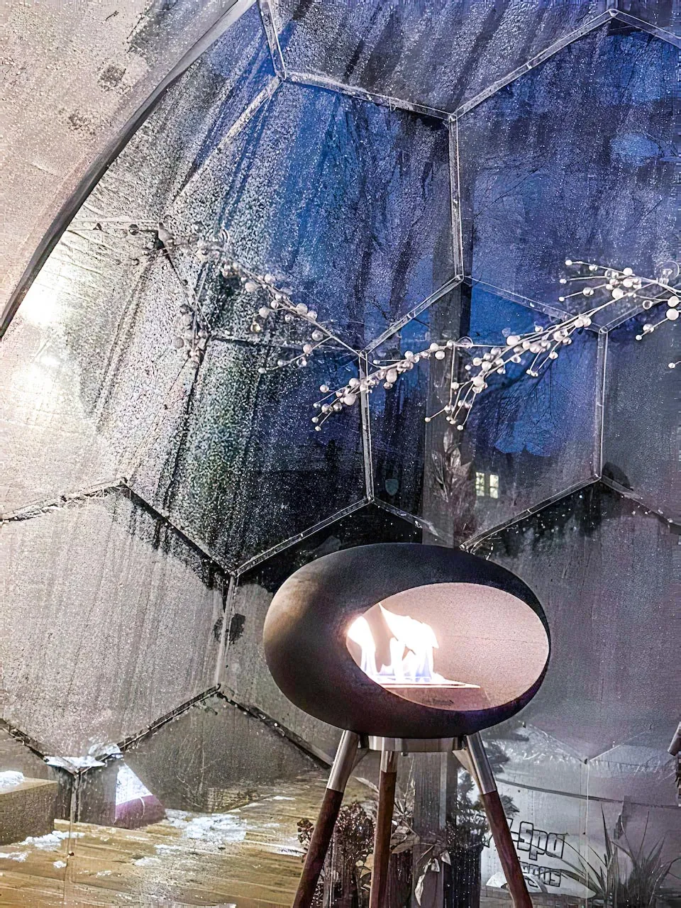 A clean-burning fireplace inside the garden dome