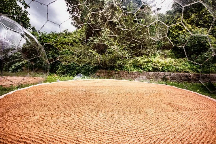 hypedome - round coir mat - 009