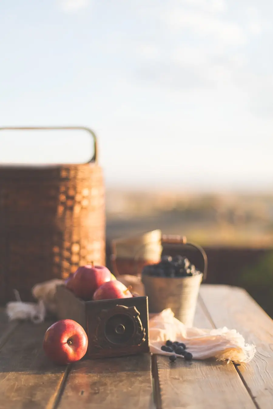 picnic basket