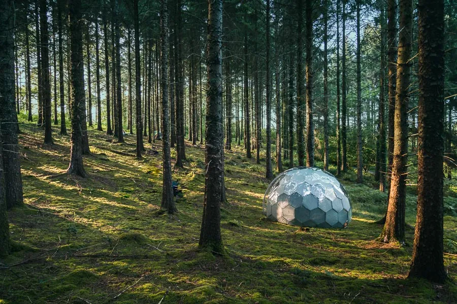 Hypedome pod in the woods