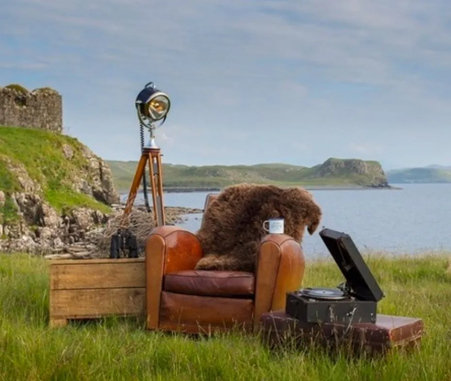 Sheep skin on the armchair