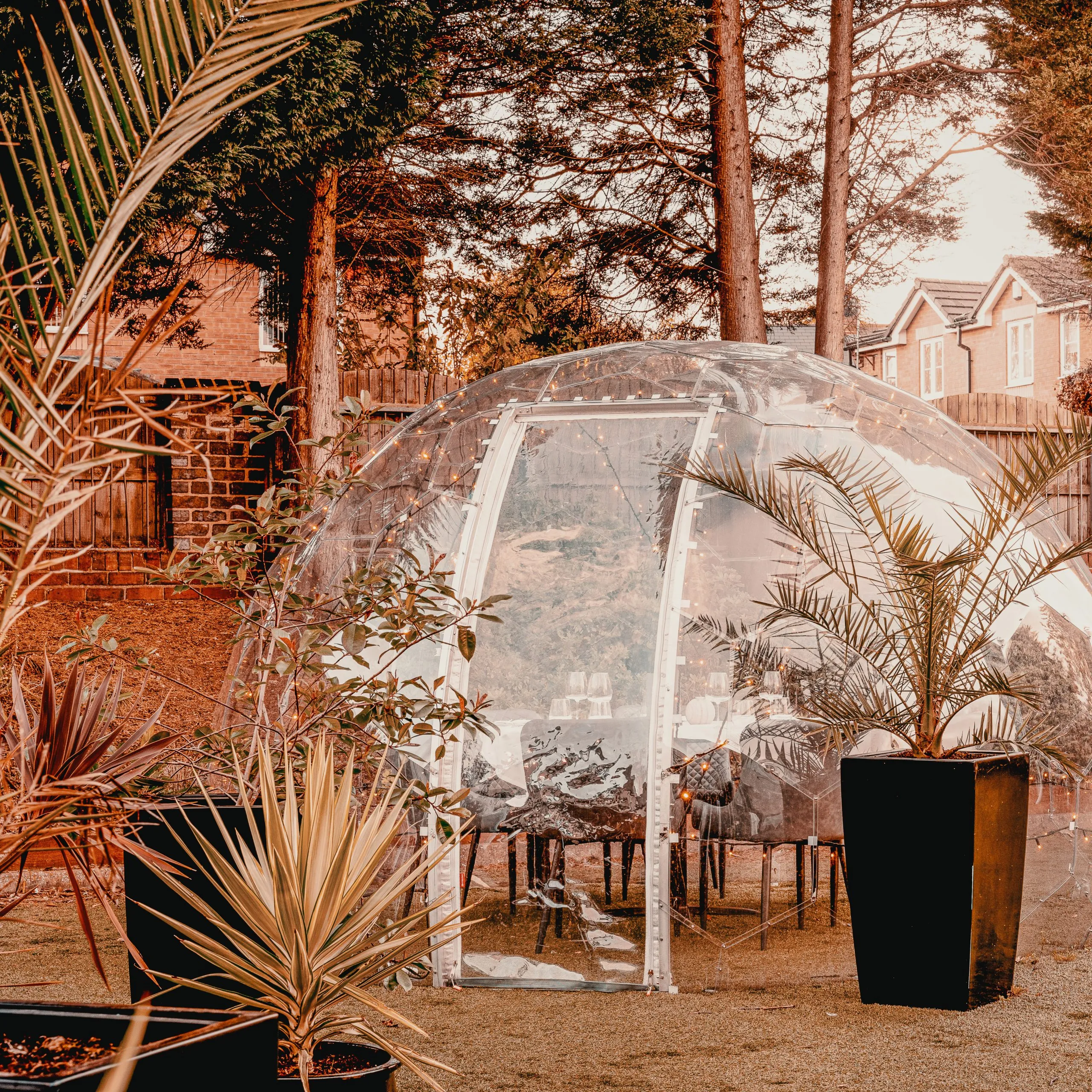 Outdoor dining pod with plants all around