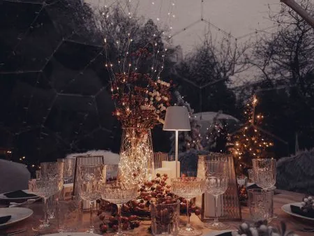 winter outdoor dining dome