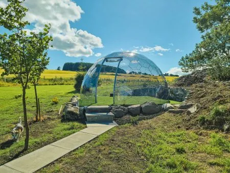Clear garden dome in sunny place