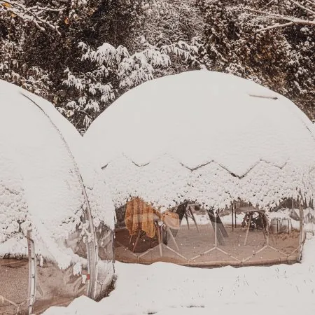 garden domes covered in snow