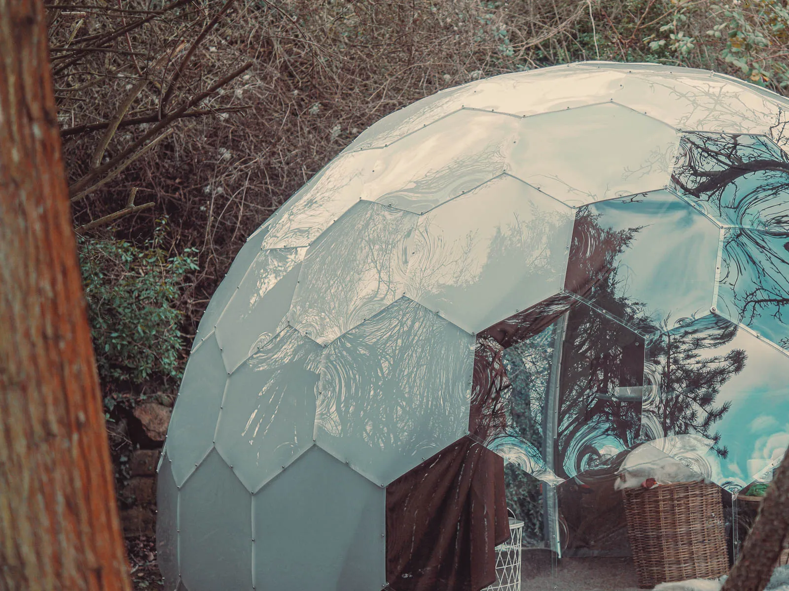 glamping pod surrounded by nature