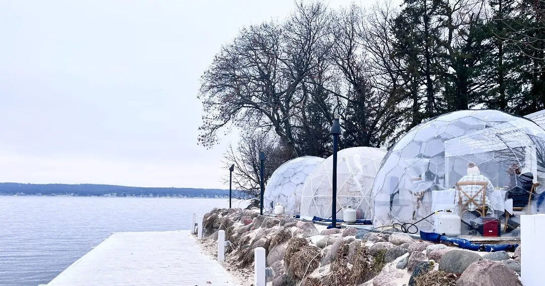 Polycarbonate Dome Vs. Plastic Vs. Glass – Which Material is Best for a Garden Dome?